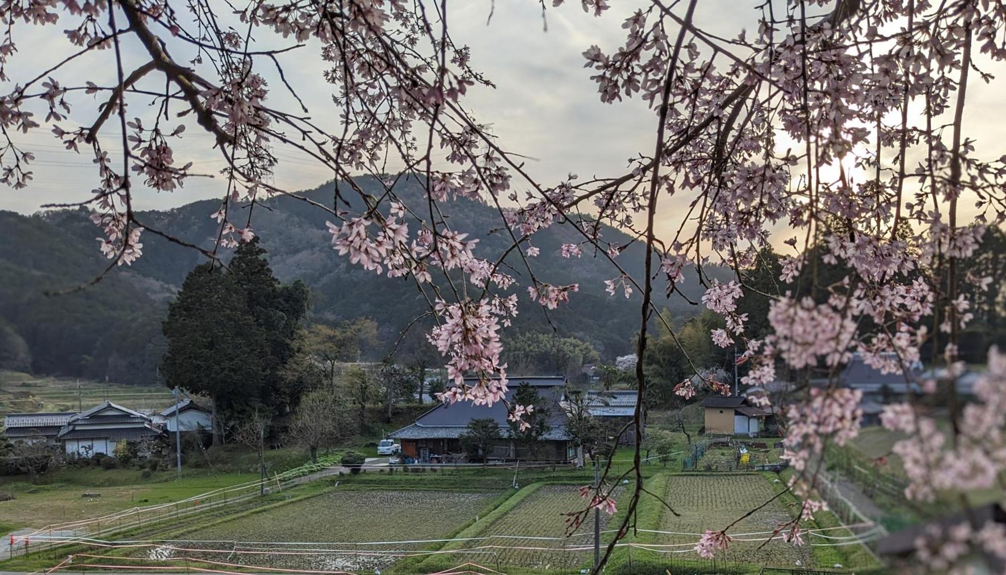 一汁一菜の宿　ちゃぶダイニング Ichiju Issai No Yado Chabu Dining Unforgettable Farmstay Experience In Deep Kyoto Ayabe Extérieur photo